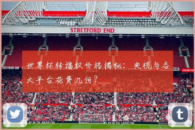 世界杯转播权价格揭秘:央视与各大平台花费几何?