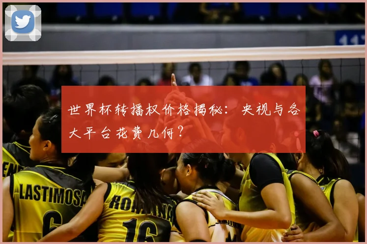 世界杯转播权价格揭秘：央视与各大平台花费几何？